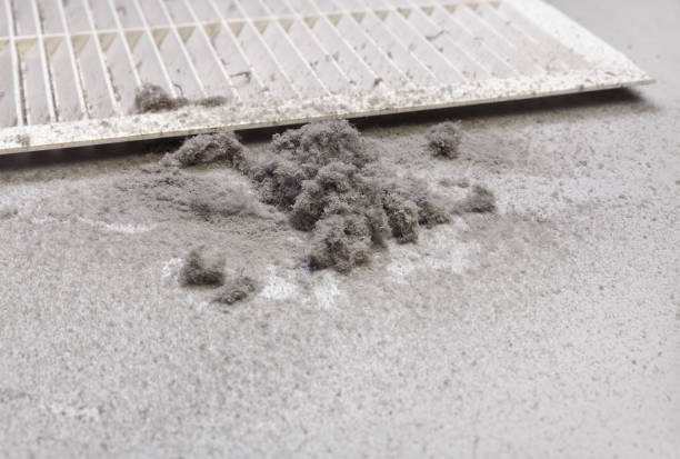 Best Affordable Air Duct Cleaning  in Erlanger, KY
