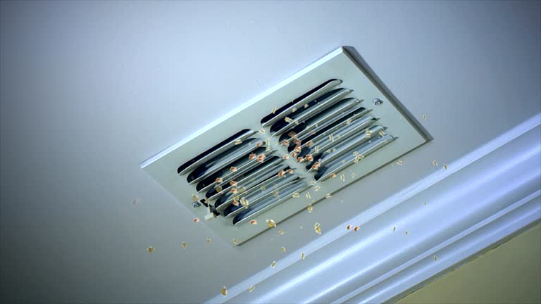 Best Air Duct Cleaning Company Near Me  in Erlanger, KY